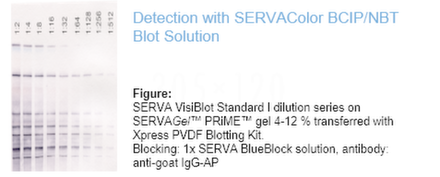 Blot E.png